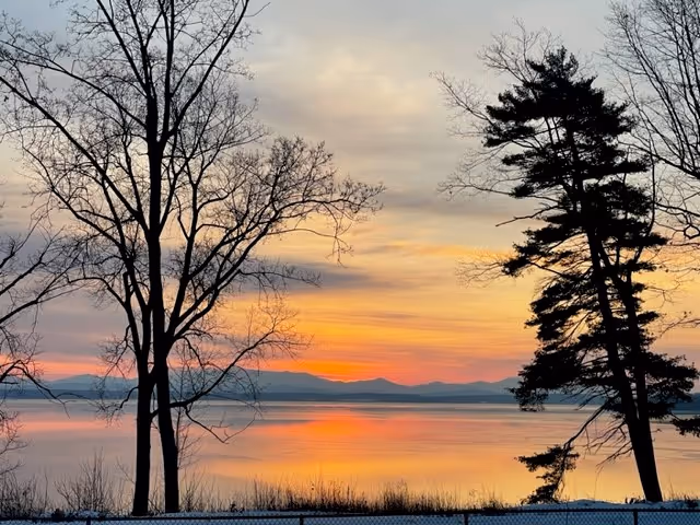 A serene lakeside view at sunset with calm water reflecting the colorful sky. Bare trees frame the scene on the left and right, with distant mountains visible on the horizon.