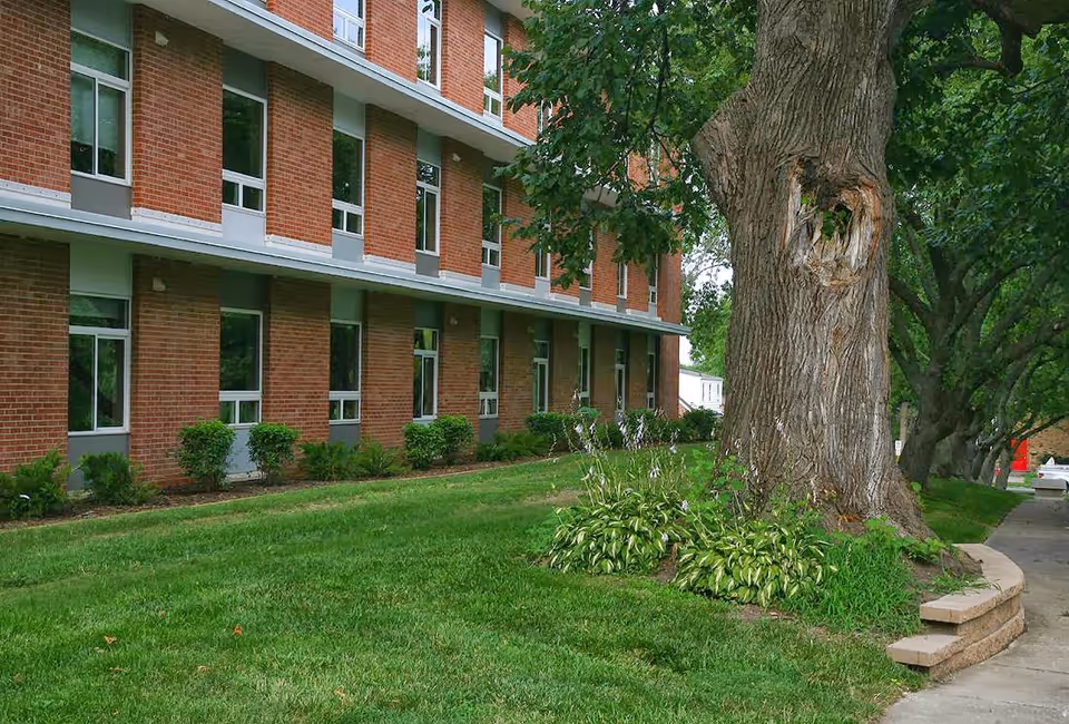 Exterior view of a multi-story brick apartment building with several windows. In front of the building is a well-maintained grassy area with bushes and a large tree with a hollow in its trunk. A sidewalk runs alongside the grass and trees.