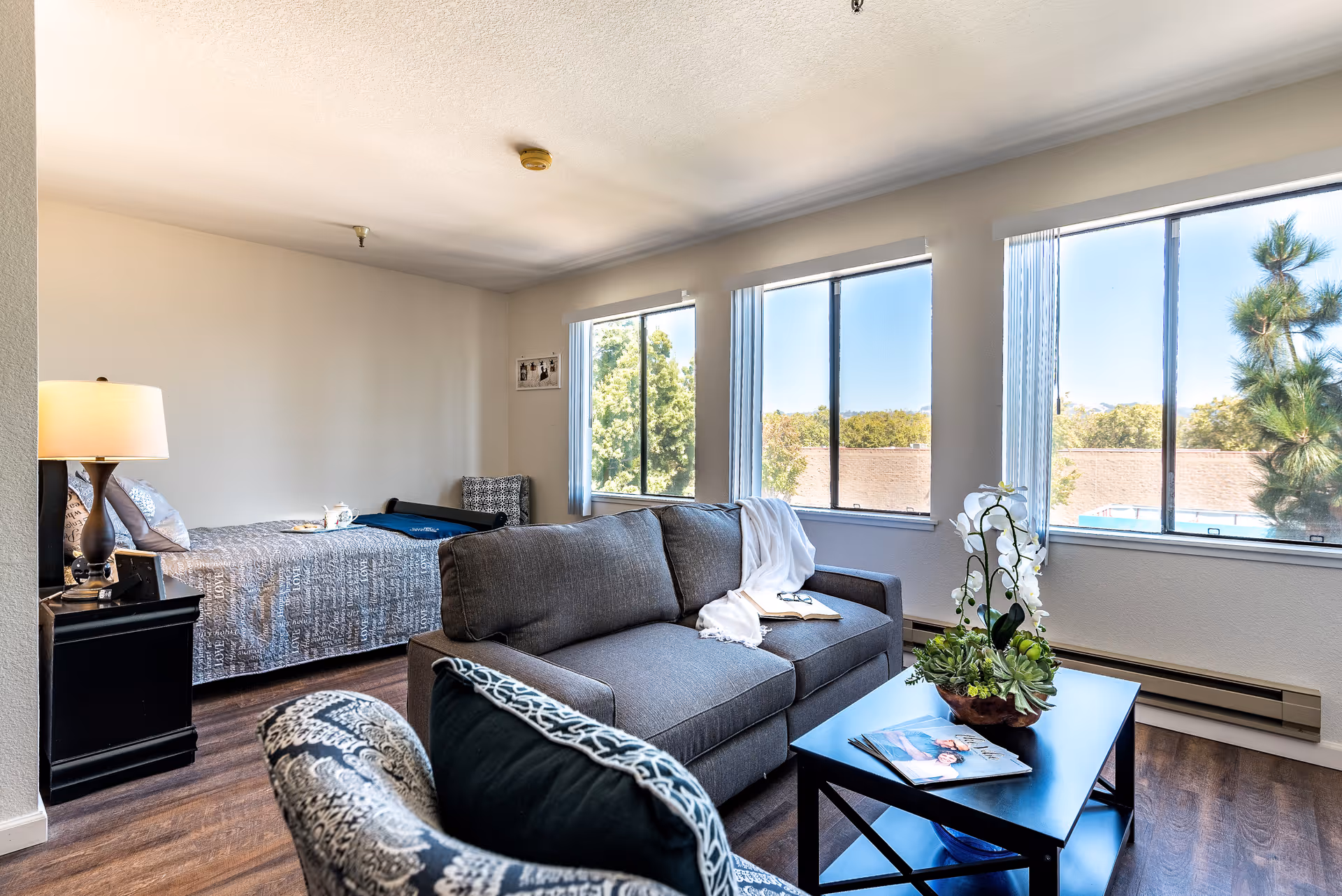 Sunny studio-style living area with a sofa, coffee table, bed, and large windows overlooking trees.