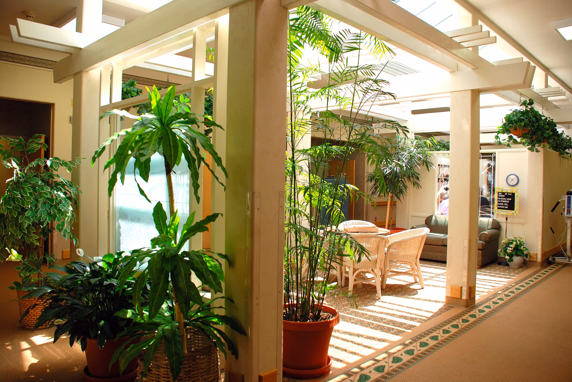 A bright indoor common area with several potted green plants, wicker chairs around a small table, and a sofa in the background. The space is illuminated by natural light coming through a skylight above, with white beams and columns dividing the area.