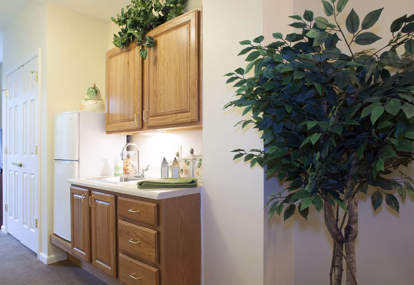 A small kitchenette area with wooden cabinets, a white refrigerator, a sink with a faucet, and a countertop with a green towel and decorative items. There is a large leafy green plant on the right side and a closed white door on the left side.