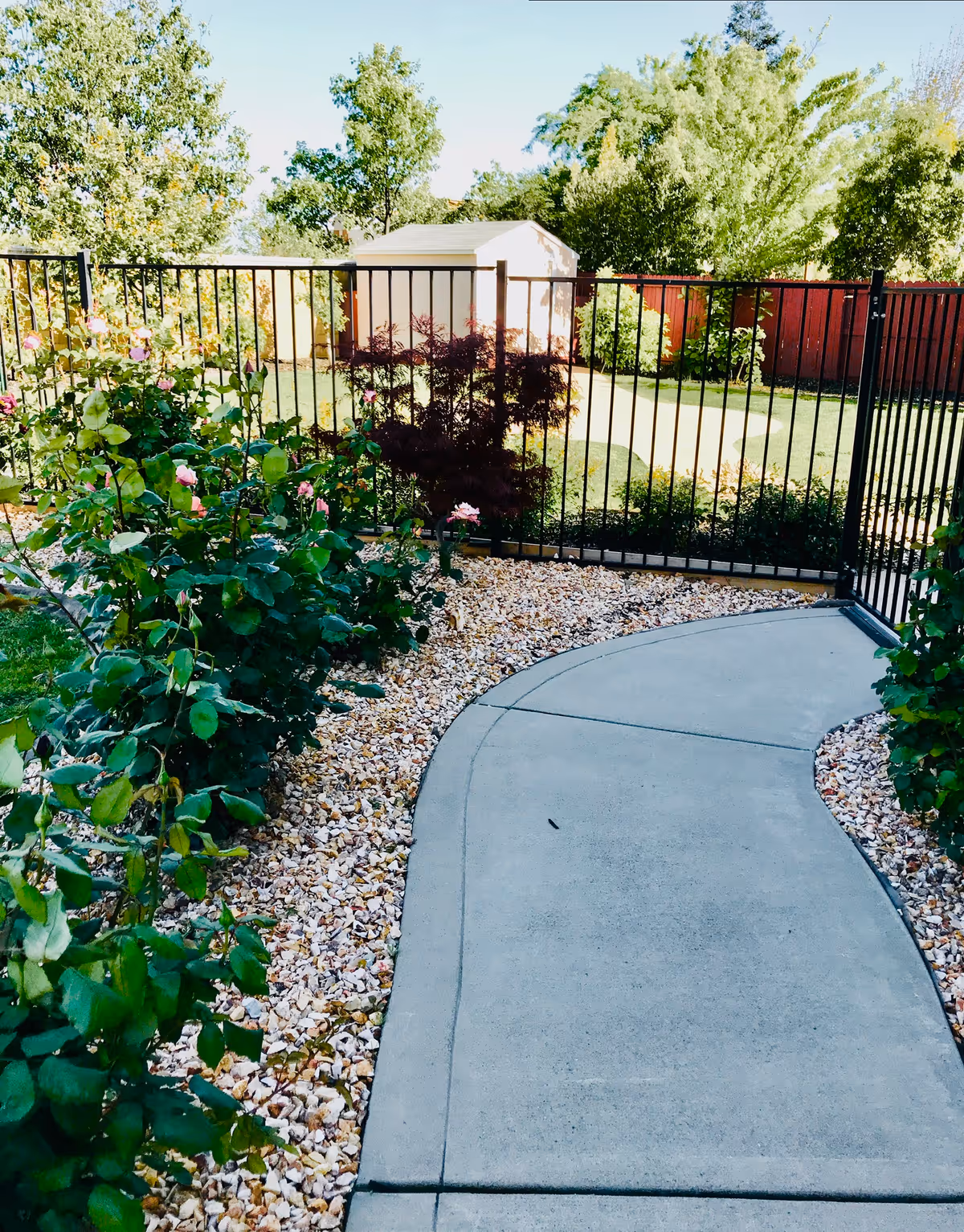 A curved concrete pathway bordered by small rocks and green bushes with pink flowers leads to a black metal fence gate. Behind the fence, there is a small white shed, green grass, and several trees under a clear blue sky.