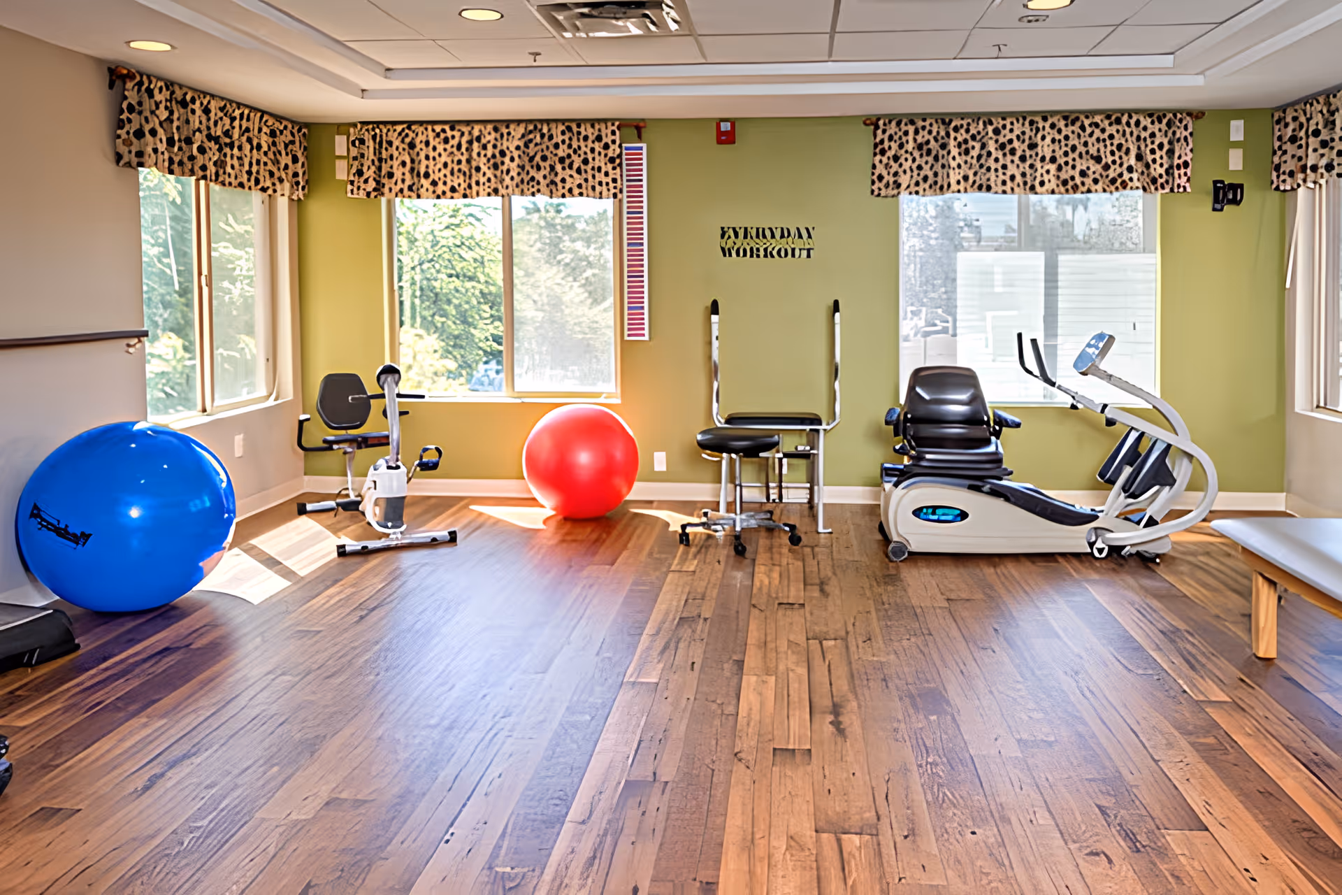 A bright exercise room with wooden floors and large windows covered with leopard print valances. The room contains exercise equipment including a blue exercise ball, a red exercise ball, a stationary bike, a recumbent bike, and a chair. The wall is painted green with the words 'EVERYDAY WORKOUT' displayed.