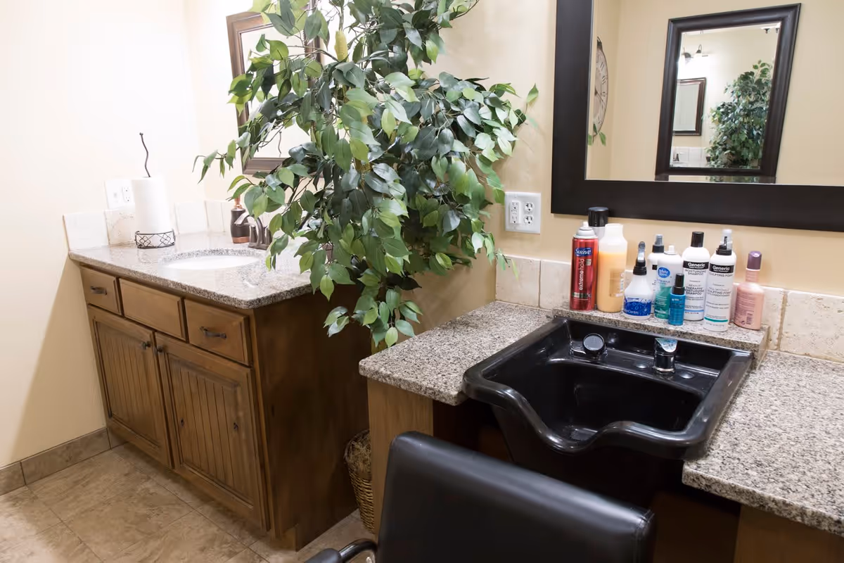 Interior view of a grooming or hair washing station in a facility. The image shows a black hair washing sink with various hair care products lined up on the granite countertop. To the left, there is a wooden cabinet with a granite countertop, a paper towel holder, and a large green leafy plant. A large mirror is mounted on the wall above the sink.
