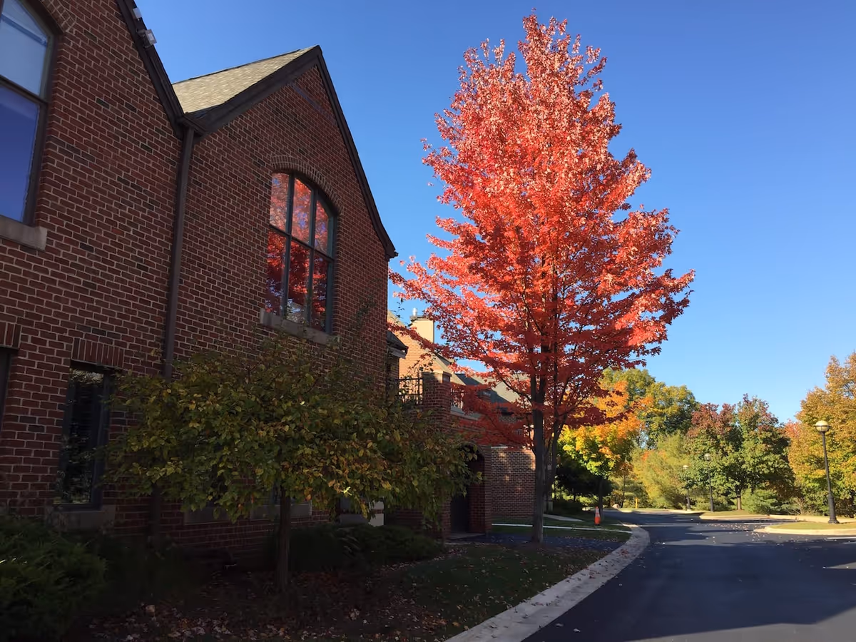 Brick building facade beside a bright red autumn tree and a curved driveway under a clear blue sky.