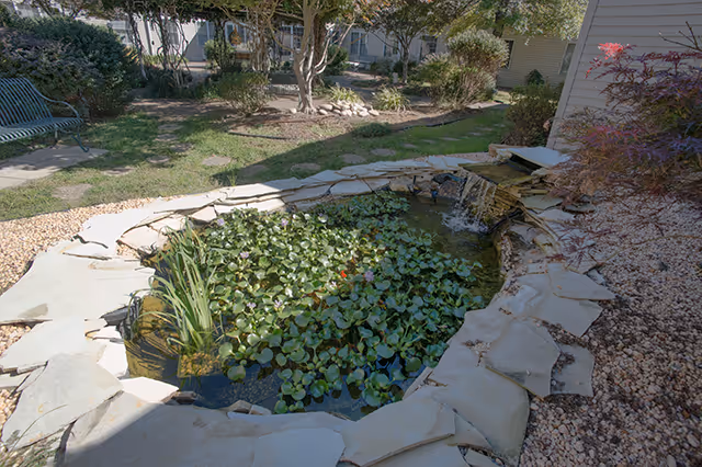 Small landscaped courtyard pond with water lilies, a stone waterfall, surrounding shrubs and a bench near the building.
