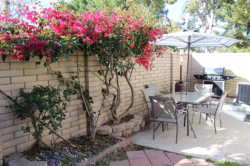 Outdoor patio area with a glass table and four chairs under a striped umbrella. There is a barbecue grill and a heater near a beige brick wall. Pink flowering plants grow along the wall, and the ground is paved with concrete and some red tiles.