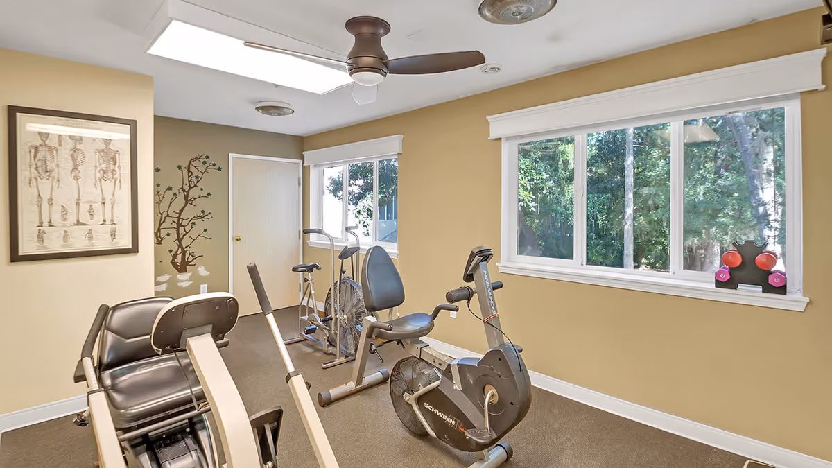 A small exercise room with beige walls and carpeted floor, containing various fitness equipment including a recumbent bike, an upright stationary bike, and an elliptical machine. There are two large windows showing green trees outside, a ceiling fan, a framed anatomical skeleton poster on one wall, and a small rack with pink and red dumbbells on the windowsill.