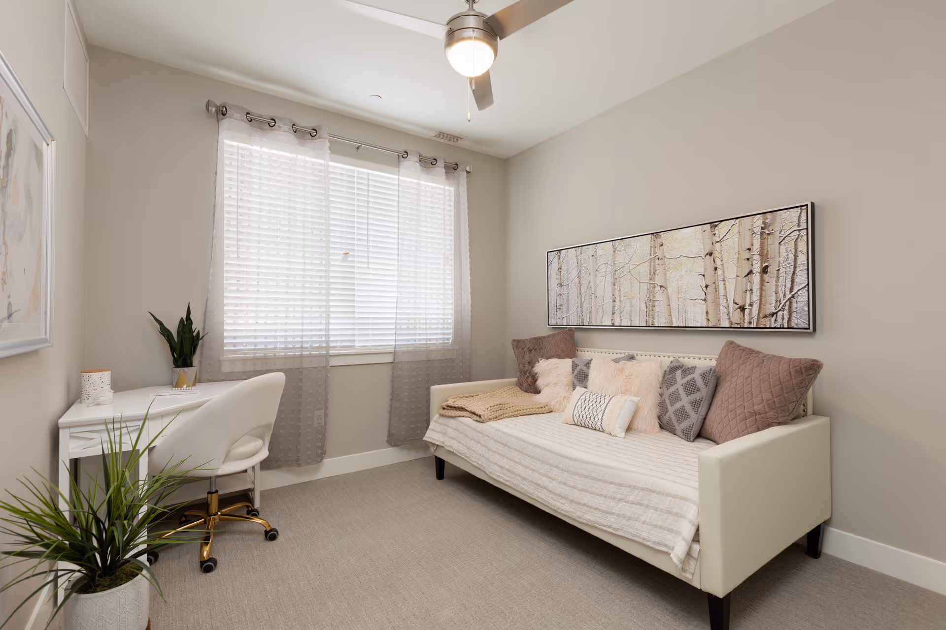 A cozy room with a white daybed adorned with multiple pillows and a beige throw blanket. A large rectangular artwork featuring birch trees hangs above the daybed. To the left, there is a white desk with a white cushioned office chair on wheels. A potted plant sits on the floor in the foreground, and another smaller plant is on the desk. The window is covered with white blinds and sheer gray curtains. A ceiling fan with a light is mounted on the ceiling.