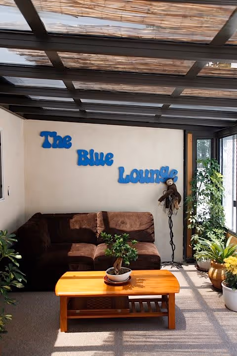 A cozy lounge area with a brown sectional sofa, a wooden coffee table with a small potted plant on it, and several other potted plants around the space. The wall behind the sofa has blue letters spelling 'The Blue Lounge'. The ceiling is made of transparent panels with wooden slats above, allowing natural light to enter.
