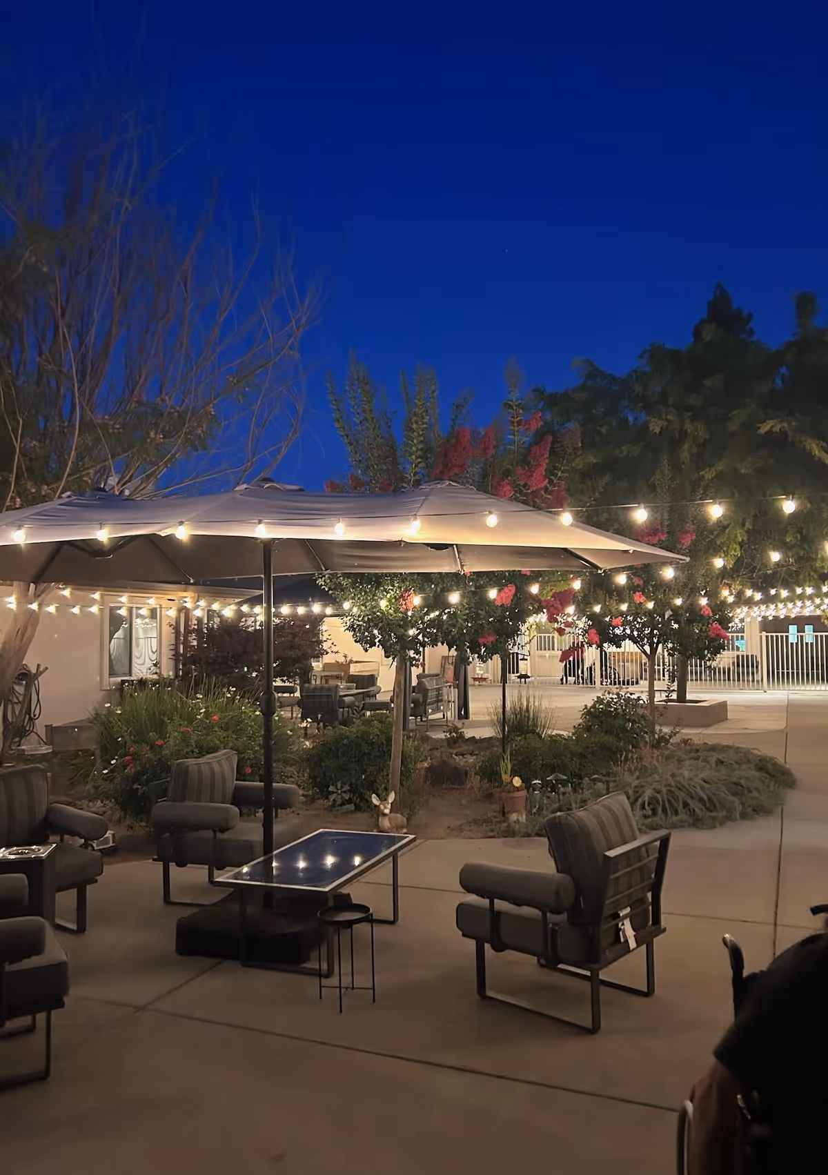 Outdoor courtyard patio at dusk with string lights, umbrella-covered seating, and landscaped trees.
