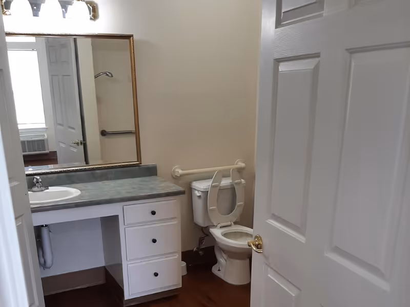 Bathroom with a white toilet that has a raised seat and grab bars on the wall behind it. Next to the toilet is a vanity with a greenish countertop, a white sink, and three drawers. A large mirror is mounted above the vanity, reflecting part of the room including a window and a shower grab bar.