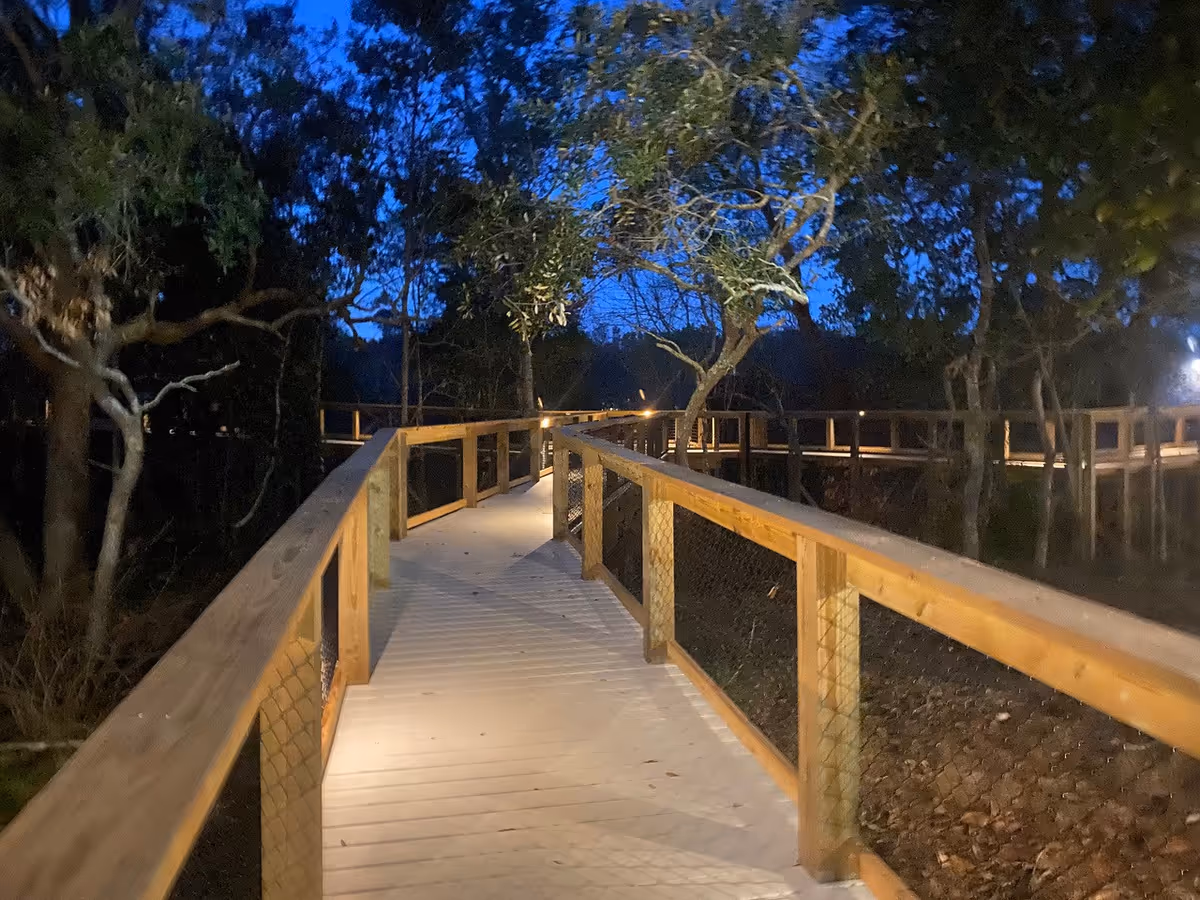 A wooden walkway with railings on both sides, surrounded by trees and illuminated by soft lights at dusk or early evening.