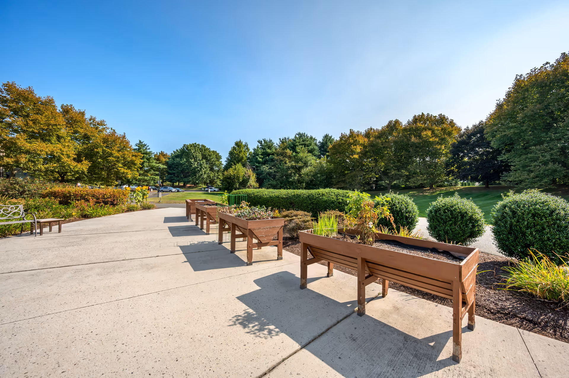 Concrete patio with several raised wooden planter boxes and a bench overlooking a landscaped lawn and trees under a clear blue sky.