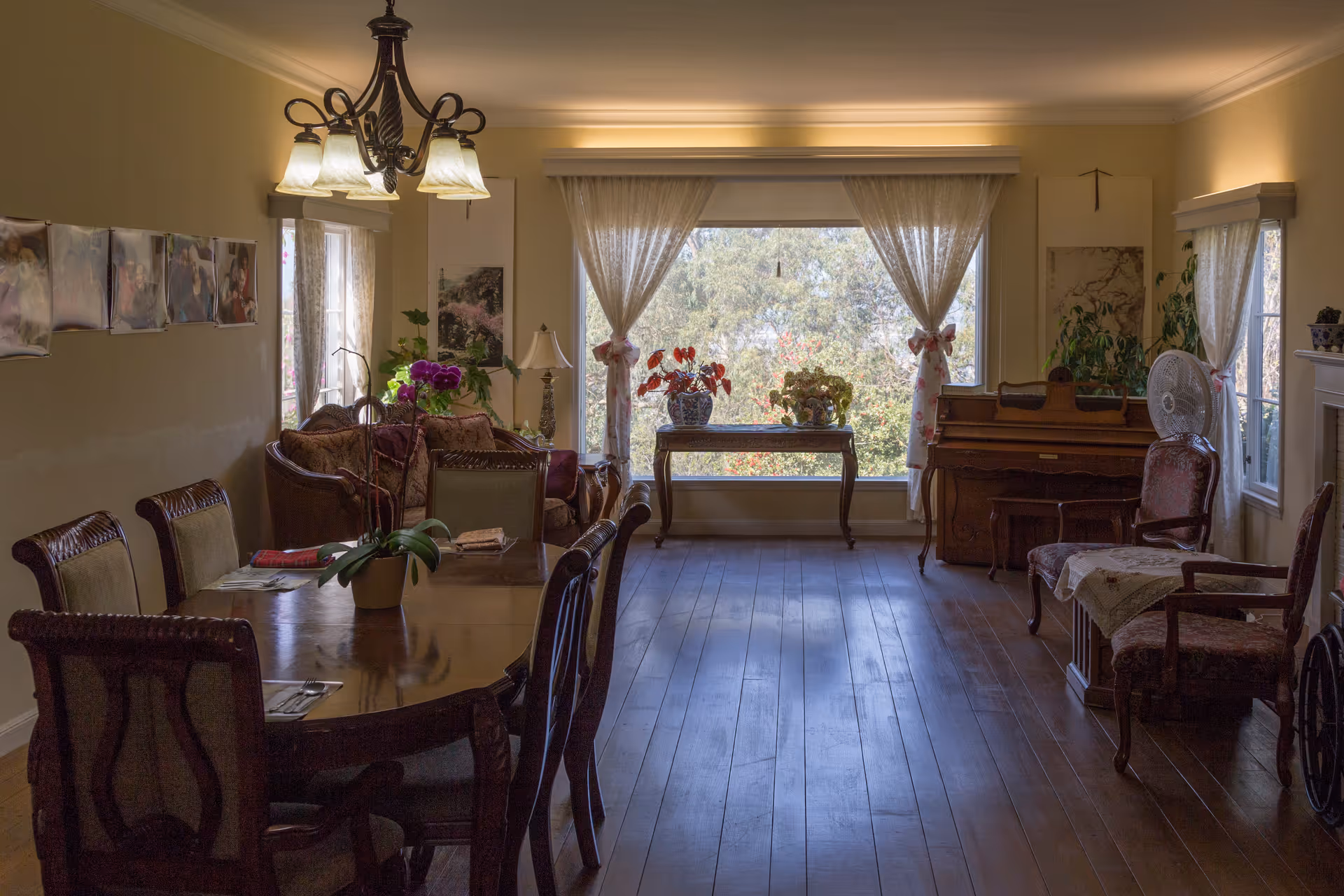 Sunlit dining and living room with a wooden dining table and chairs, sofas, a piano, and a large window with lace curtains overlooking trees.