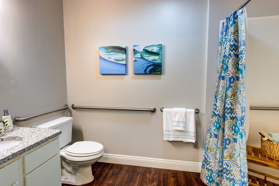 Accessible bathroom featuring a toilet, granite-topped vanity, grab bars, towel rack, and a blue patterned shower curtain.