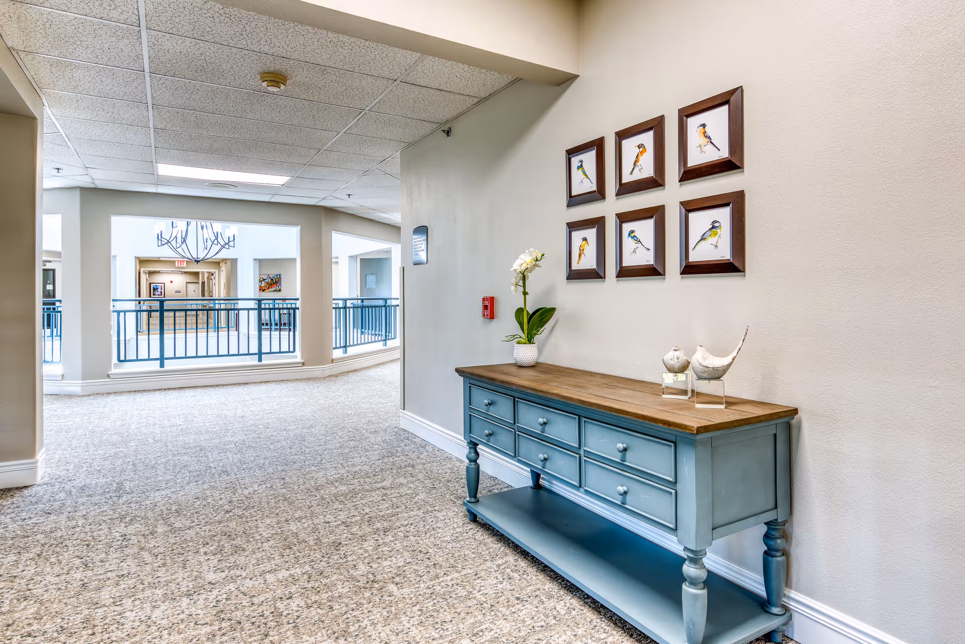 A bright hallway in a senior living facility with beige walls and carpeted floor. A blue wooden console table with a wooden top is placed against the wall, decorated with a potted orchid plant and two bird figurines. Above the table, there are six framed pictures of colorful birds arranged in two rows. The hallway has blue railings and opens up to a larger common area with visible ceiling lights and artwork on the walls.