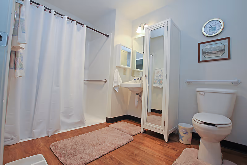 Bright accessible bathroom with a shower and curtain, pedestal sink, mirrored storage cabinet, toilet, and pink bath mats on a wood-look floor.