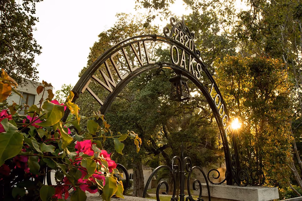 A decorative black wrought iron archway with the words 'Twelve Oaks' and the number '2820' at the top, surrounded by green trees and vibrant pink flowers, with sunlight shining through the foliage in the background.