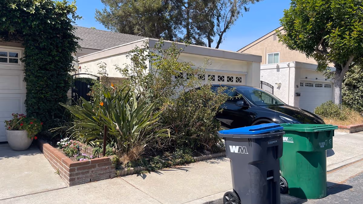 Driveway and garage fronts of single-story homes with a parked black car, two WM trash bins, and landscaped plants.