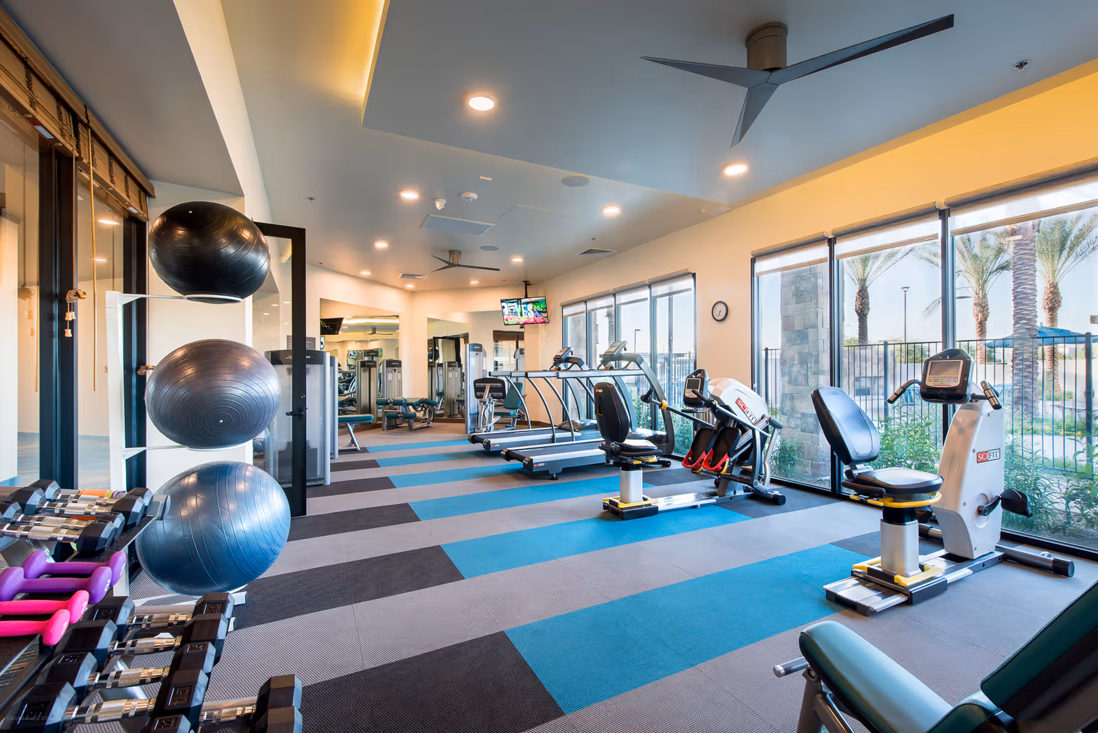 A bright and spacious fitness room with exercise equipment including treadmills, stationary bikes, dumbbells, and large exercise balls. The room has large windows letting in natural light and a view of palm trees outside. The floor is covered with blue and gray patterned carpet tiles, and the ceiling has recessed lighting and ceiling fans.