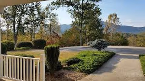 Sunny outdoor garden and walkway with trees and shrubs at Ridge Rest.