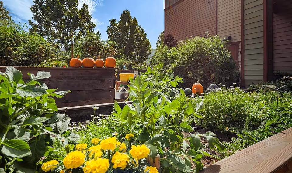 Photo 4 of Merrill Gardens at Gilroy