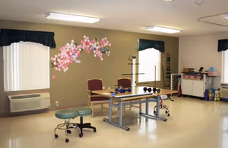 A therapy or activity room with exercise equipment including hand weights and therapy tools on a table, two chairs, two stools, and a wall decorated with pink and white flower decals. The room has two windows with vertical blinds and dark valances, an air conditioning unit under one window, and a cabinet with various supplies in the corner.
