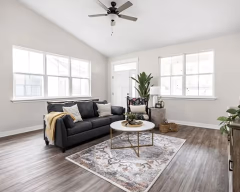 Bright living room with a dark sofa, round coffee table on a patterned rug, large windows, plants, and a ceiling fan.