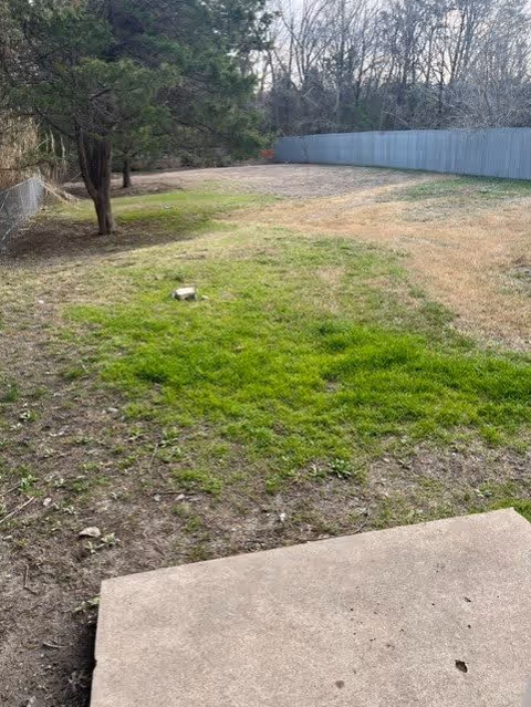 Outdoor area with a patchy grass lawn, a concrete slab in the foreground, a few trees on the left side, and a tall metal fence running along the right side and back of the yard.