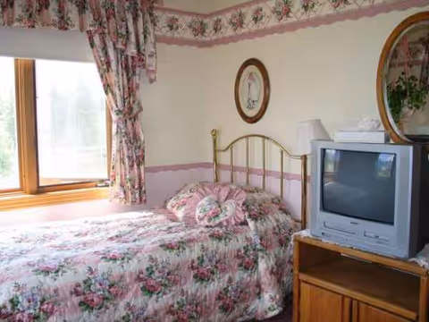 Floral bedroom with bed, window, and vintage TV in Hamilton House