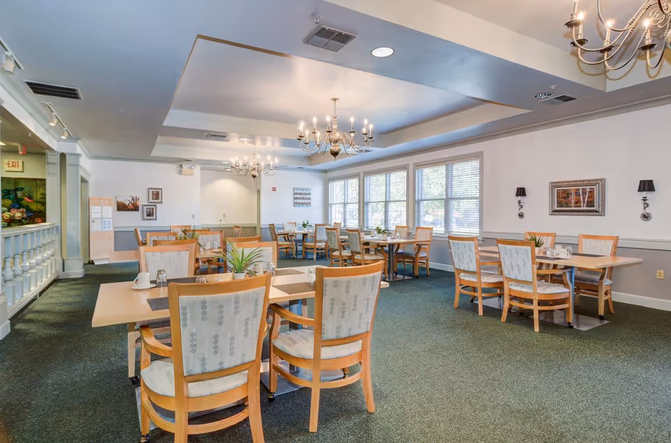 A bright dining room in a senior living community with several wooden tables and chairs arranged neatly. The room features large windows with blinds allowing natural light to fill the space, chandeliers hanging from the ceiling, framed artwork on the walls, and small plants placed on the tables.