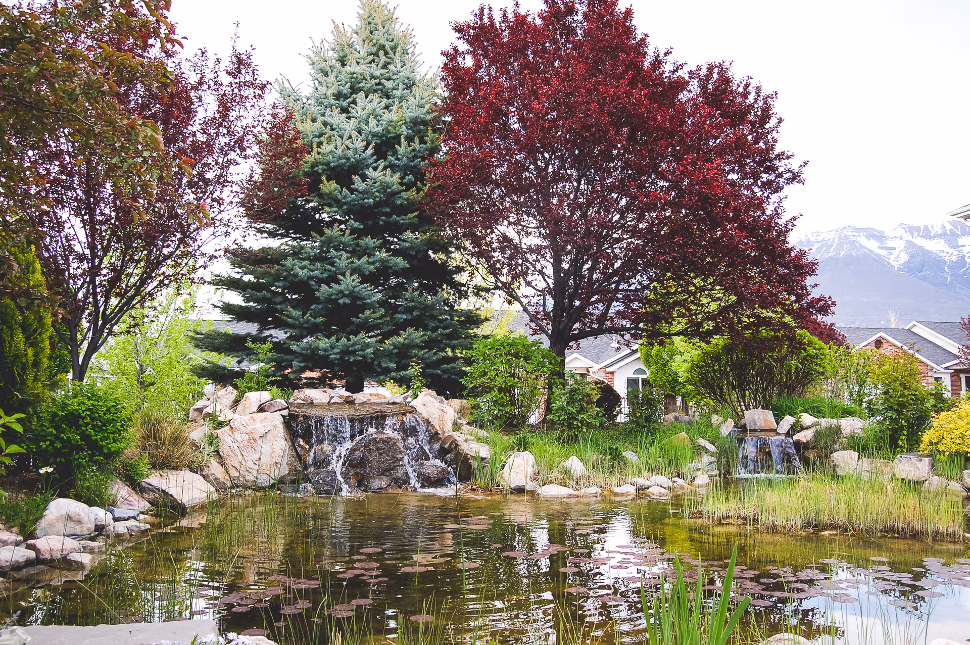 A serene outdoor garden area with a small pond featuring lily pads and two small waterfalls flowing over rocks. Surrounding the pond are various trees and shrubs, including a large evergreen tree and a tree with red leaves. In the background, there are residential buildings and snow-capped mountains under a bright sky.
