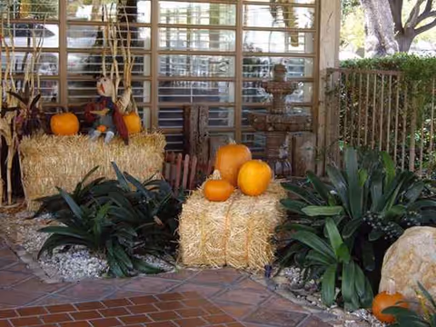 Front entrance with pumpkins on hay bales and decorative plants outside the building.