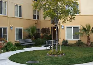 Exterior courtyard of Palm Court Senior Homes with benches, trees, and a curved walkway.