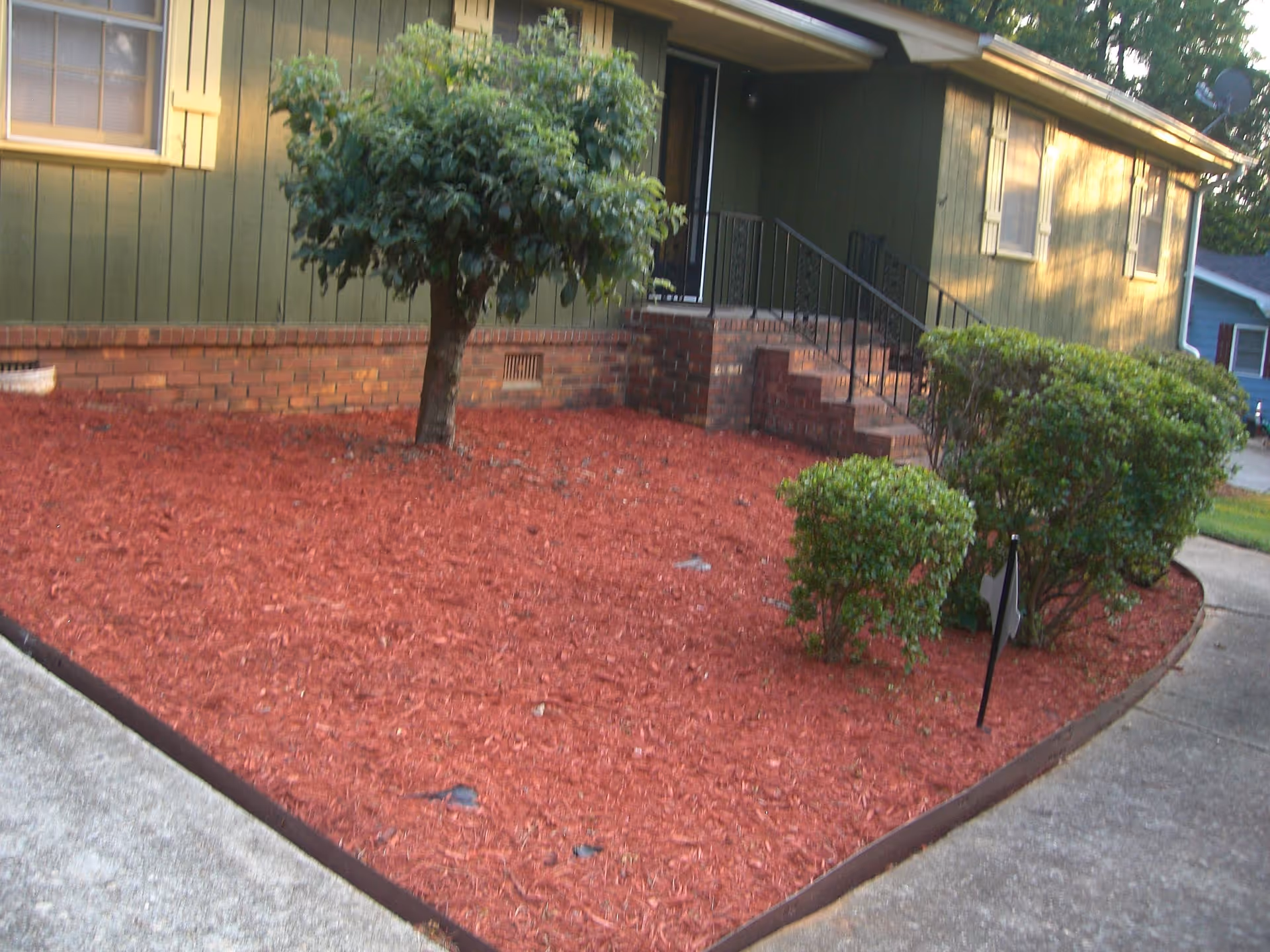 Front yard of a house with red mulch covering the ground, a small tree, and several green bushes. The house has green siding with brick accents near the base and a set of brick steps leading to a black door with a black metal railing.