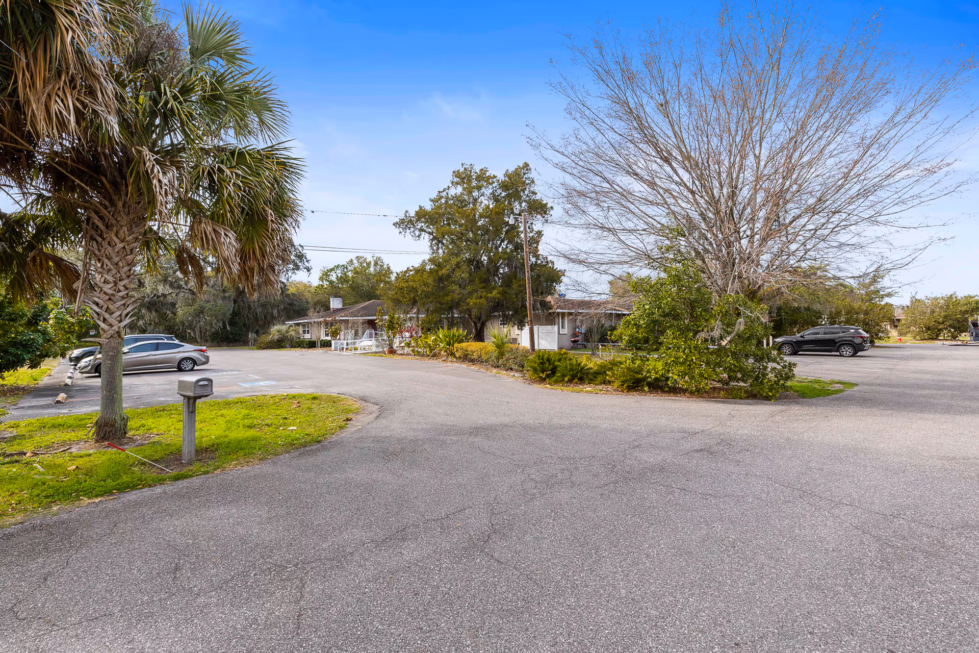 Parking lot area with several parked cars, surrounded by trees including a palm tree and a leafless tree, with a single-story building in the background under a clear blue sky.
