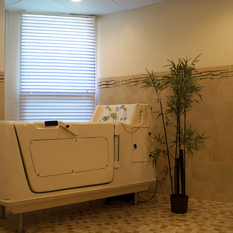 Walk-in bathtub in a tiled bathroom with a window covered by blinds and a potted plant beside it.