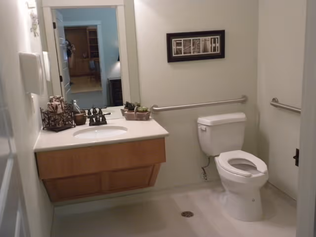 A clean, accessible bathroom with a white toilet, a wall-mounted sink with a wooden cabinet underneath, a large mirror above the sink, and grab bars on the walls for support. There is a small decorative item on the sink counter and a framed picture on the wall.