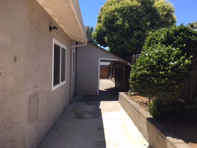 A narrow outdoor walkway alongside a beige building with a window and a light fixture. On the right side, there is a raised garden bed with green bushes and a large tree in the background under a clear blue sky.