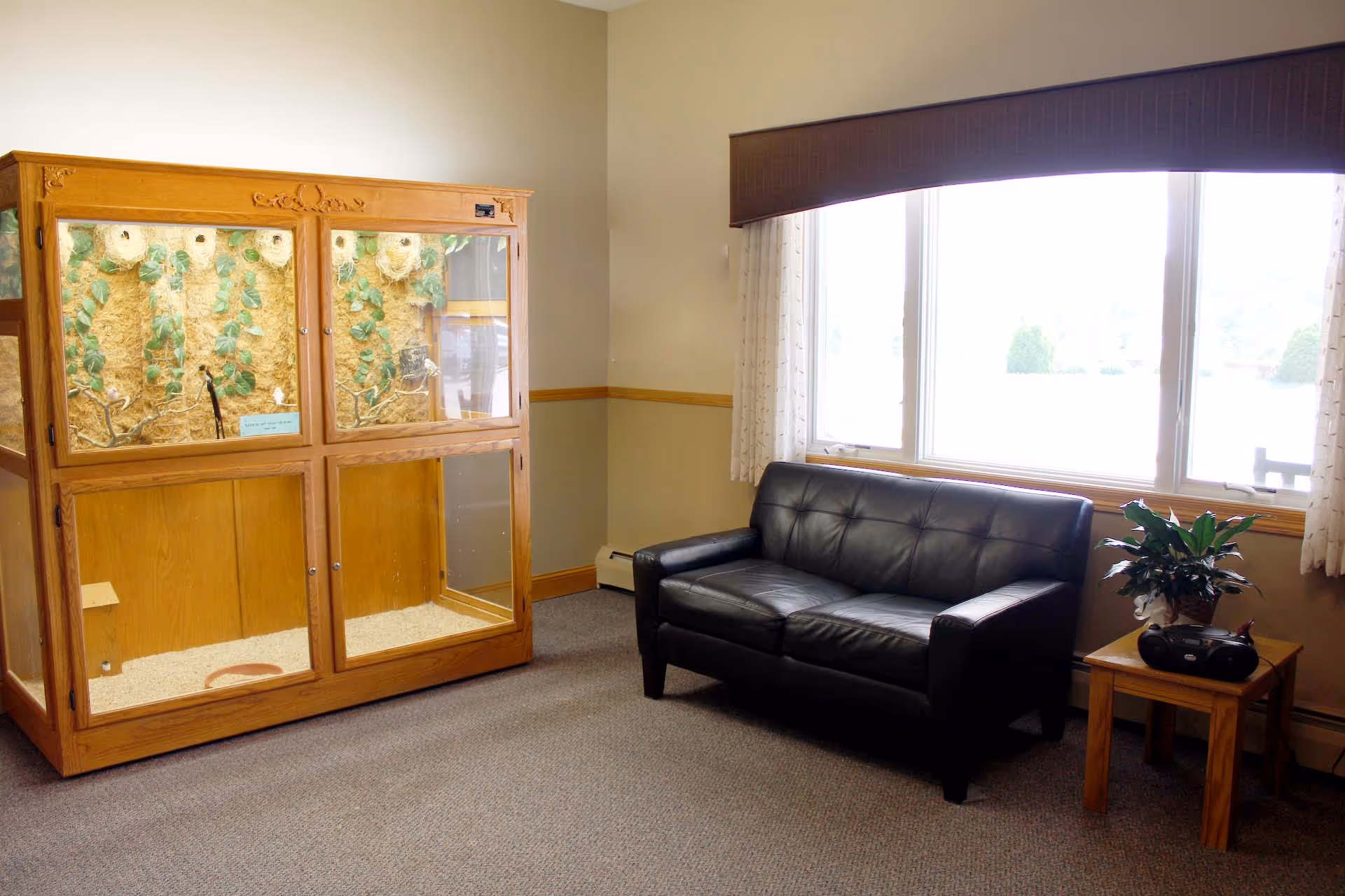A small sitting area with a black leather loveseat near a large window and a wooden animal enclosure on the opposite wall.