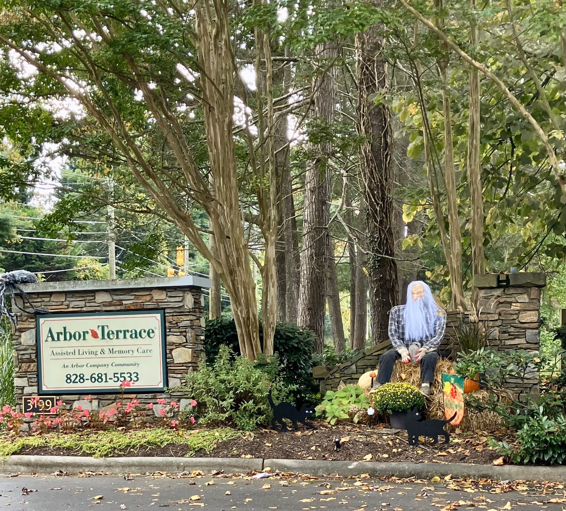 Entrance sign for Arbor Terrace Assisted Living & Memory Care surrounded by trees, landscaping and Halloween decorations including a seated bearded figure on hay bales, pumpkins, and black cat cutouts.