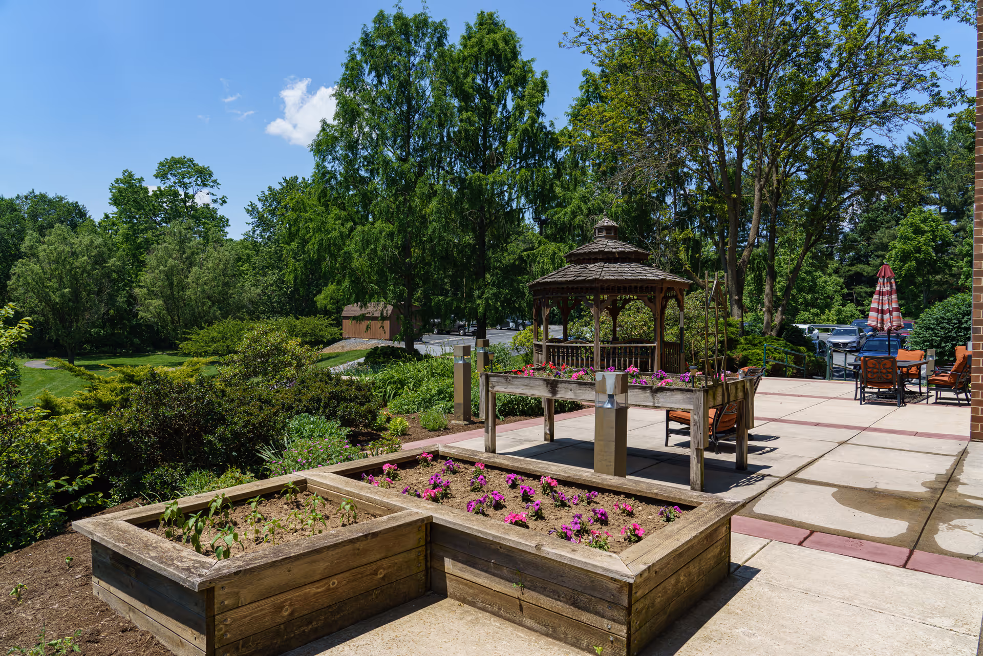 Outdoor garden area at The Woods at Cedar Run featuring raised wooden flower beds with blooming pink flowers, a wooden gazebo, patio seating with chairs and an umbrella, surrounded by lush green trees and shrubs under a clear blue sky.