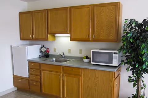 A small kitchen area with wooden cabinets, a countertop with a sink, a microwave, a small refrigerator, and a potted plant on the right side.