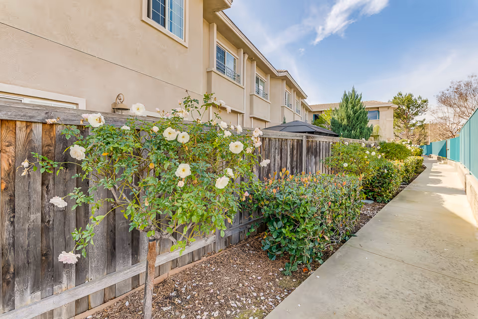 Sidewalk beside flowering shrubs and a wooden fence running along a beige multiunit building under a blue sky.