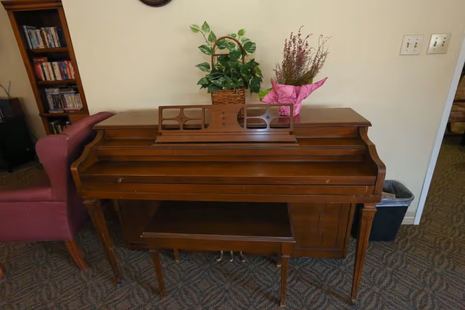 A wooden upright piano with a matching bench in front of it, placed on a carpeted floor. On top of the piano, there are two potted plants, one with green leaves in a wicker basket and another with purple flowers wrapped in pink paper. To the left of the piano is a maroon upholstered armchair, and in the background, there is a bookshelf filled with books and DVDs. On the right side, there is a trash bin and two light switches on the wall.