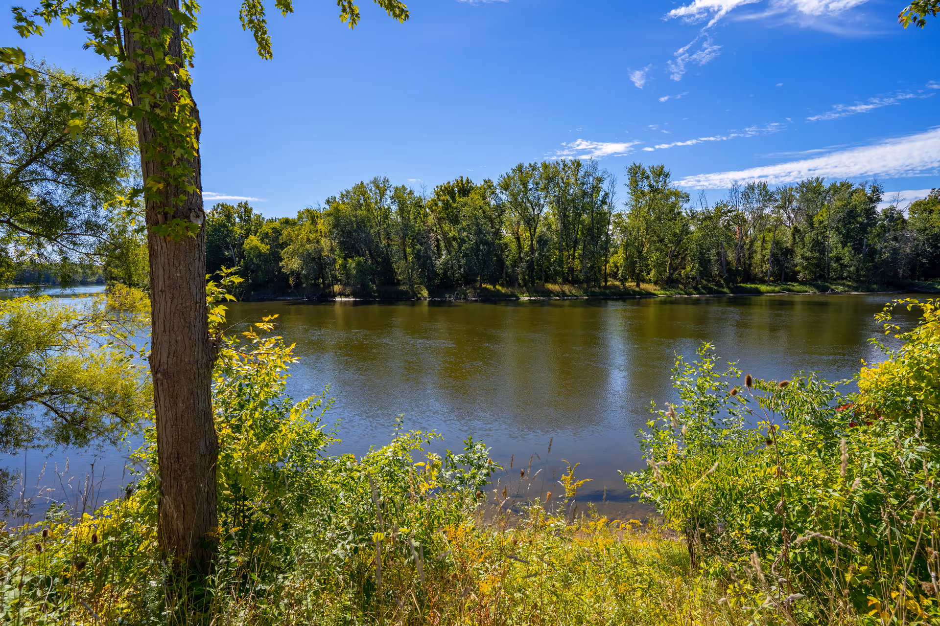 A scenic view of a calm river surrounded by lush green trees and vegetation under a bright blue sky with scattered clouds.