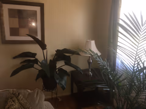 A cozy living room corner with large potted plants, a side table with a lamp, framed wall art, and part of a couch by a window.