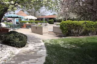 Outdoor patio area with tables and umbrellas surrounded by trees, bushes, and a grassy lawn under a partly cloudy sky.