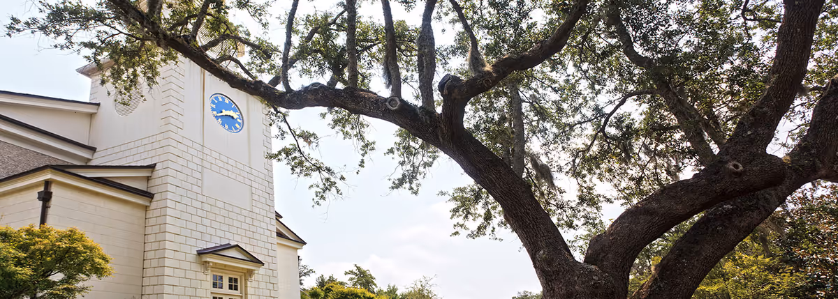 Exterior view of a building with a clock tower partially obscured by large tree branches and foliage under a bright sky.